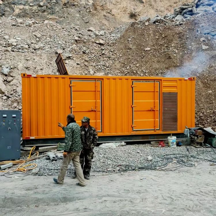 胡场镇如何选择适合自己的 800KW 柴油发电机组？